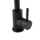 Комплект кухонної мийки Lidz Handmade H6050B Brushed Black PVD 3,0/1,0 мм S4741 фото 13